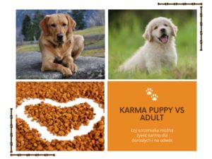 Karma puppy vs adult