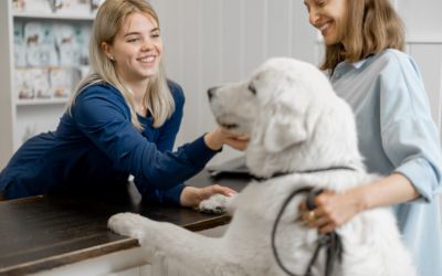 Jak przygotować psa do wizyty u weterynarza